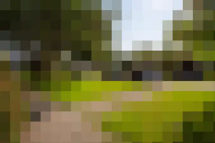 1672-Laan 12 Bodegraven thumbnail 32