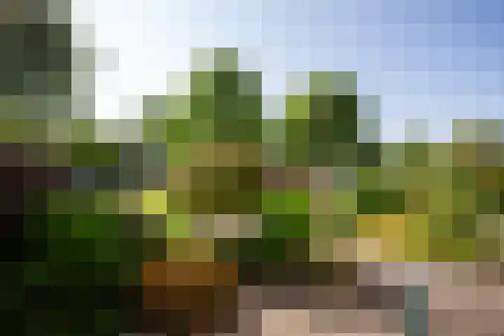 1672-Laan 12 Bodegraven thumbnail 4