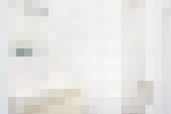 1e Daalsedijk 228 BS Utrecht thumbnail 22