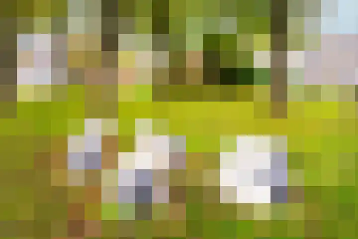 1e Daalsedijk 228 BS Utrecht thumbnail 33