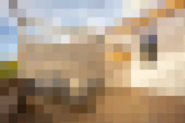 1e Daalsedijk 228 BS Utrecht thumbnail 4