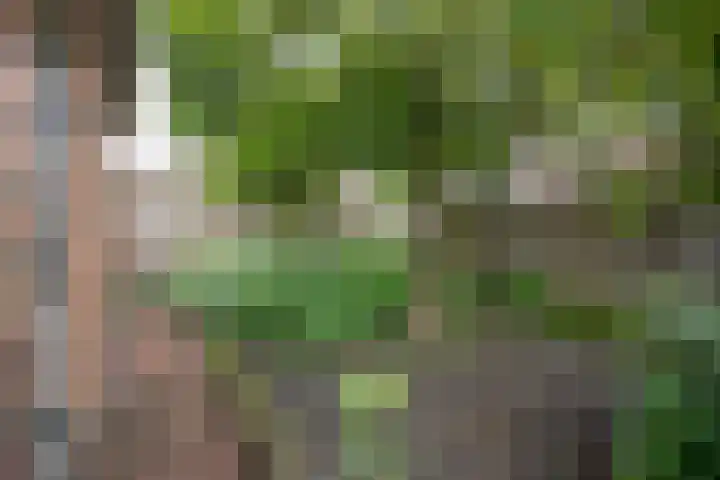 1e Esweg 43 Wierden thumbnail 14