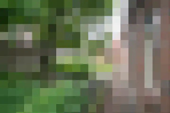1e Esweg 43 Wierden thumbnail 15