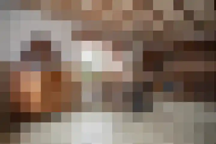 1e Esweg 43 Wierden thumbnail 21