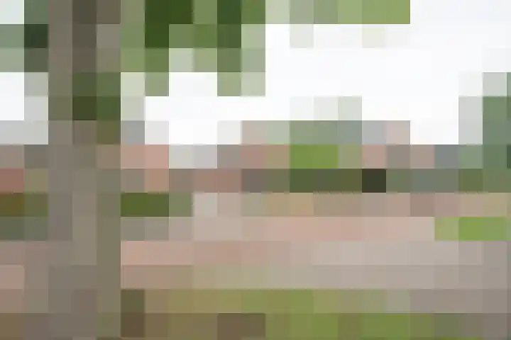 1e Esweg 43 Wierden thumbnail 5