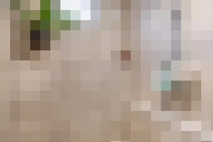 1e Pijnackerstraat 91 B Rotterdam thumbnail 32