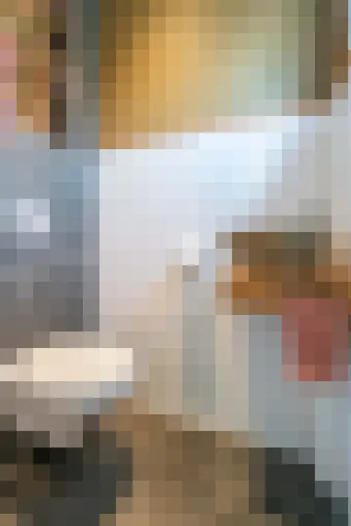 1e Poellaan 28 Lisse thumbnail 23