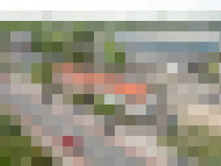 1e Poellaan 28 Lisse thumbnail 30