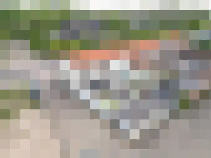 1e Poellaan 28 Lisse thumbnail 32