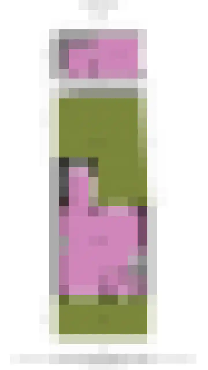 1e Poellaan 28 Lisse thumbnail 38