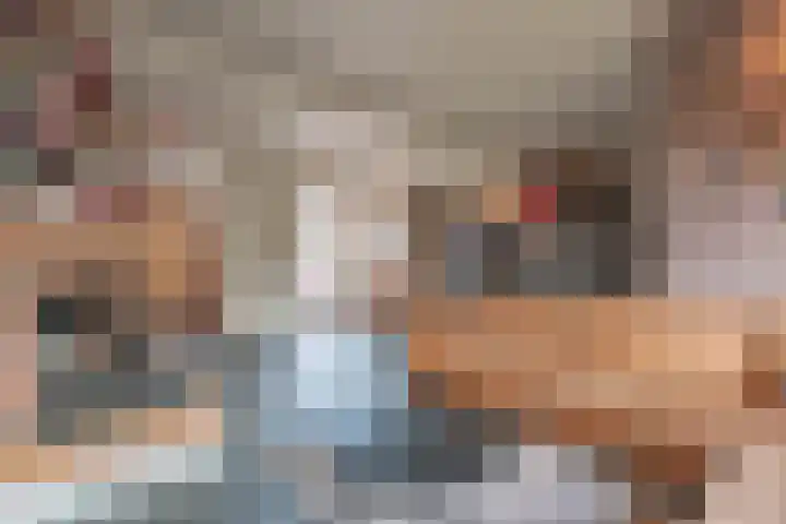 1e Poellaan 28 Lisse thumbnail 5