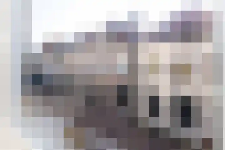 1e Steeg 2 B Hattem thumbnail 8