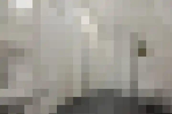 2e Daalsedijk 149 Utrecht thumbnail 12