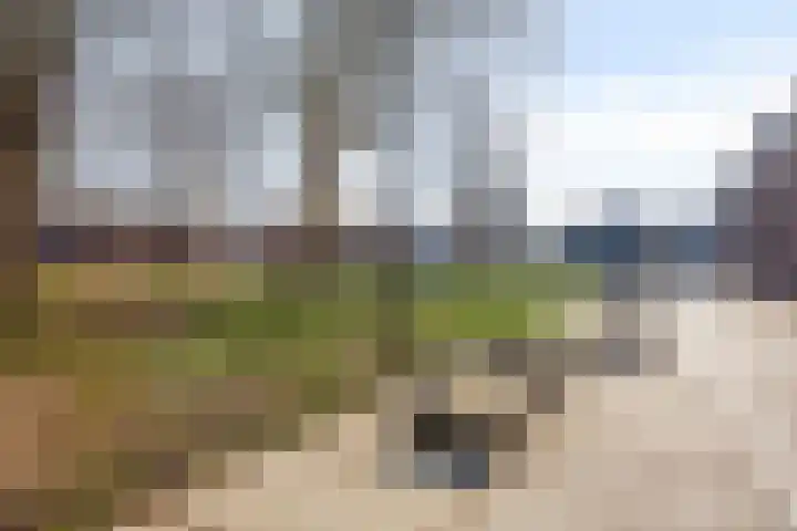 2e Daalsedijk 149 Utrecht thumbnail 24