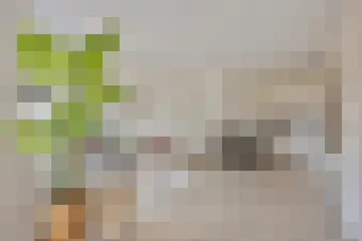 2e Daalsedijk 149 Utrecht thumbnail 6