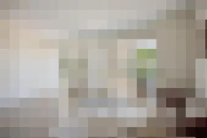 2e Daalsedijk 149 Utrecht thumbnail 7