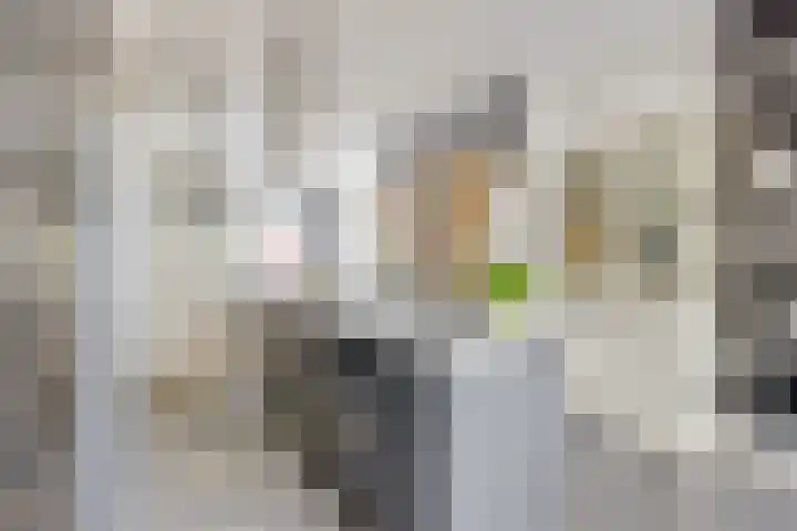 2e Daalsedijk 169 Utrecht thumbnail 11