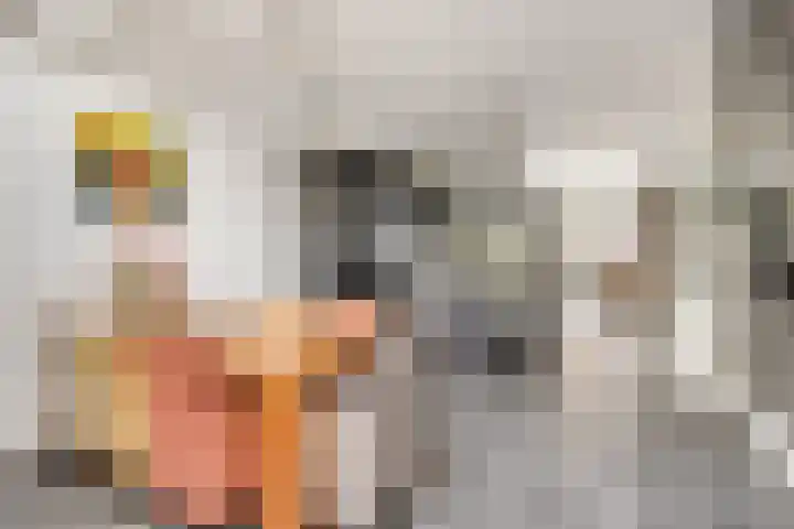 2e Daalsedijk 169 Utrecht thumbnail 14