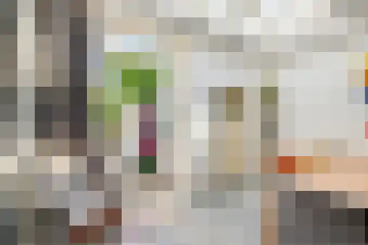 2e Daalsedijk 169 Utrecht thumbnail 16