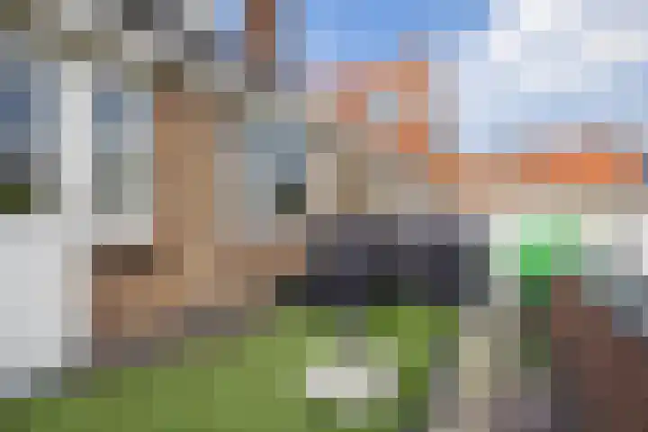 2e Daalsedijk 169 Utrecht thumbnail 26