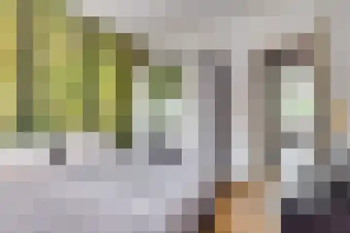 2e Daalsedijk 169 Utrecht thumbnail 29