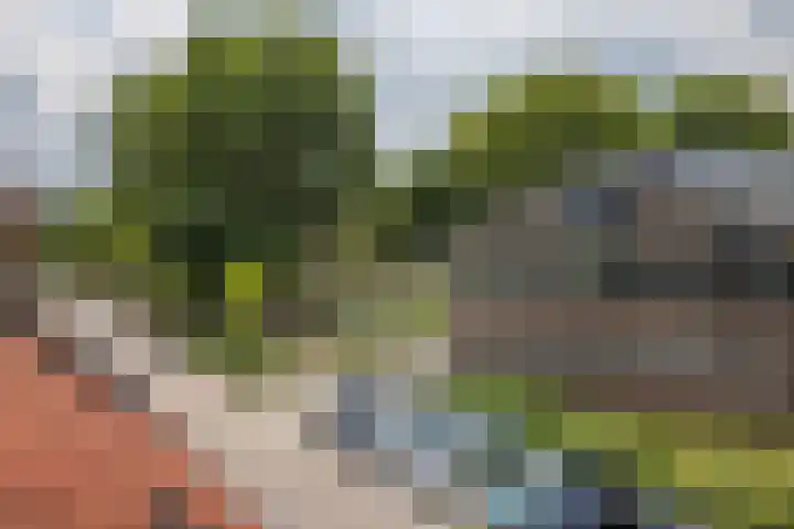 2e Daalsedijk 169 Utrecht thumbnail 33