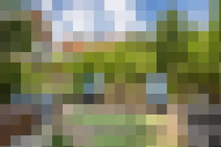 2e Daalsedijk 169 Utrecht thumbnail 43