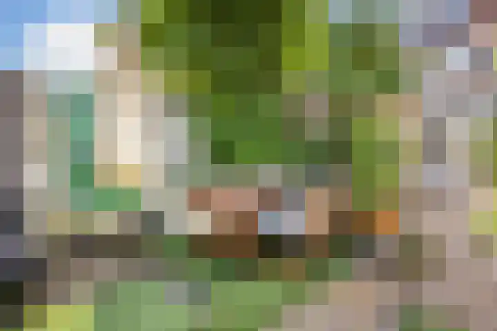 2e Daalsedijk 169 Utrecht thumbnail 44