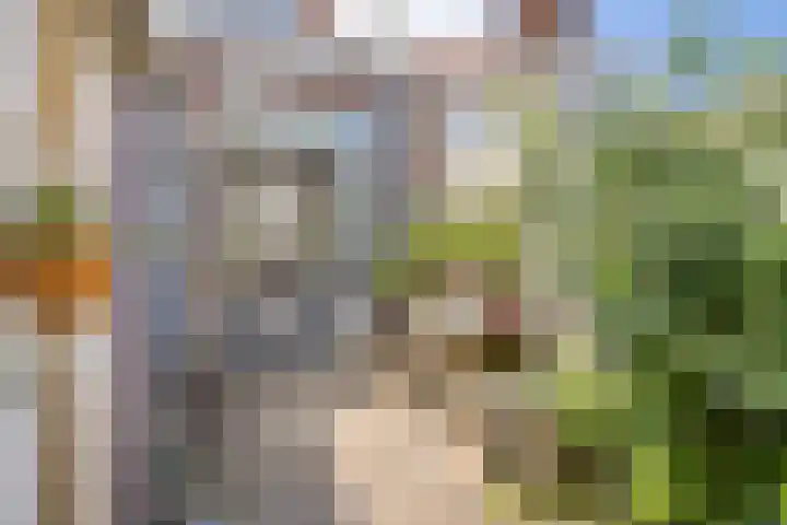 2e Daalsedijk 169 Utrecht thumbnail 45