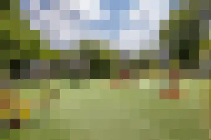 2e Daalsedijk 169 Utrecht thumbnail 46