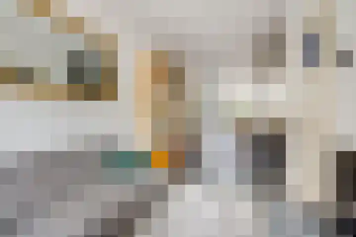 2e Daalsedijk 169 Utrecht thumbnail 5
