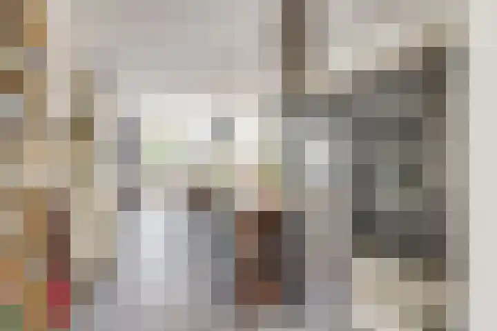 2e Daalsedijk 169 Utrecht thumbnail 6