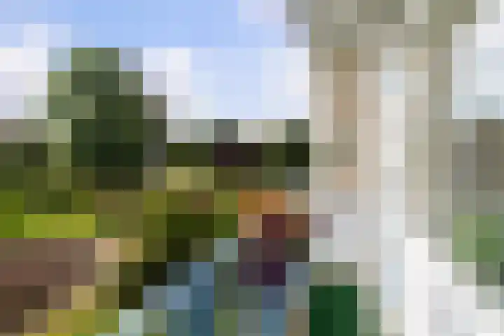 2e Eeldepad 49 Den Haag thumbnail 20