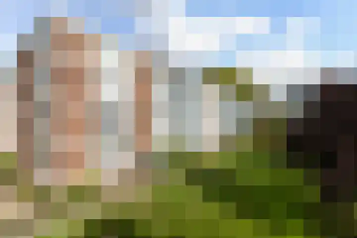 2e Eeldepad 49 Den Haag thumbnail 24