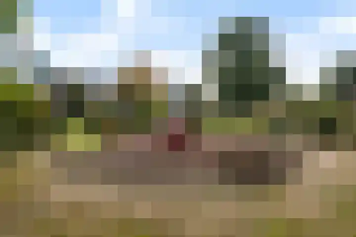 2e Eeldepad 49 Den Haag thumbnail 27