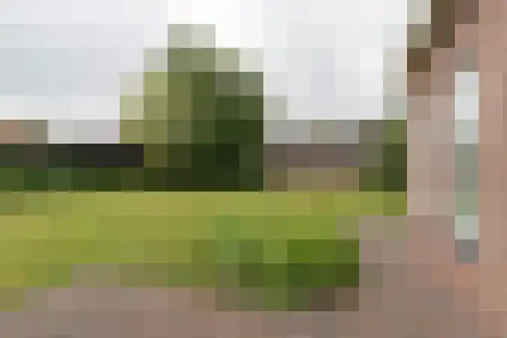 2e Garstelaan 6 Westerlee thumbnail 44
