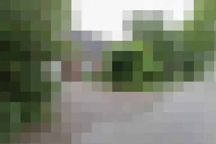 2e Garstelaan 6 Westerlee thumbnail 6