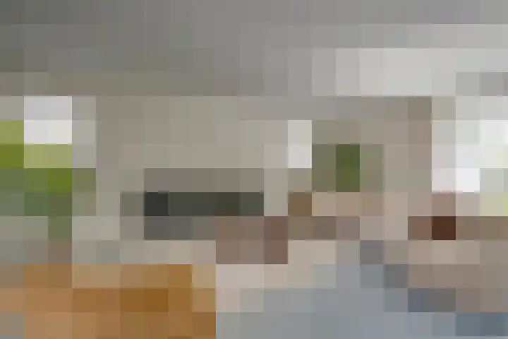 2e Hogeweg 26 Zeist thumbnail 11