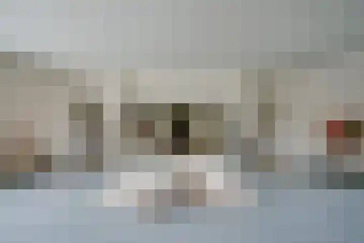 2e Hogeweg 26 Zeist thumbnail 14