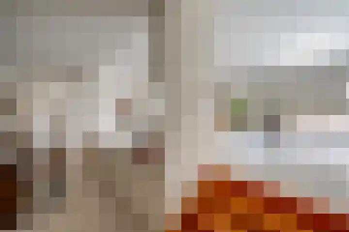 2e Hogeweg 26 Zeist thumbnail 16