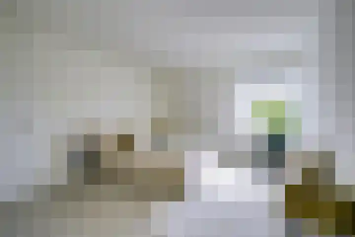 2e Hogeweg 26 Zeist thumbnail 29