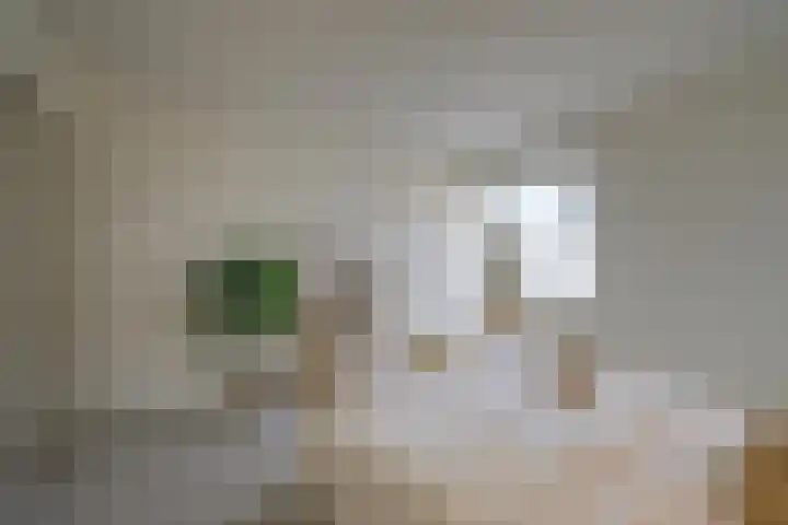 2e Hogeweg 26 Zeist thumbnail 33