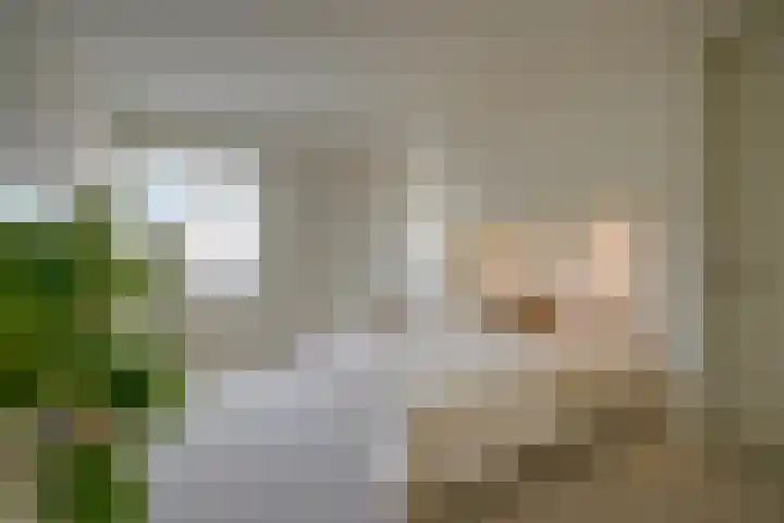 2e Hogeweg 26 Zeist thumbnail 34