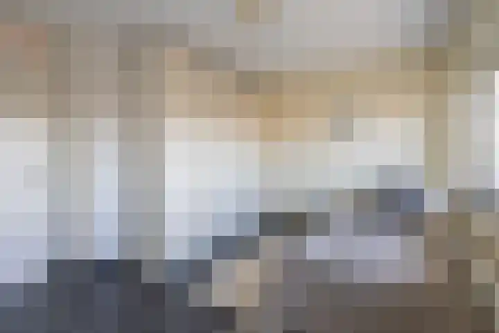 2e Hogeweg 97 C Zeist thumbnail 35