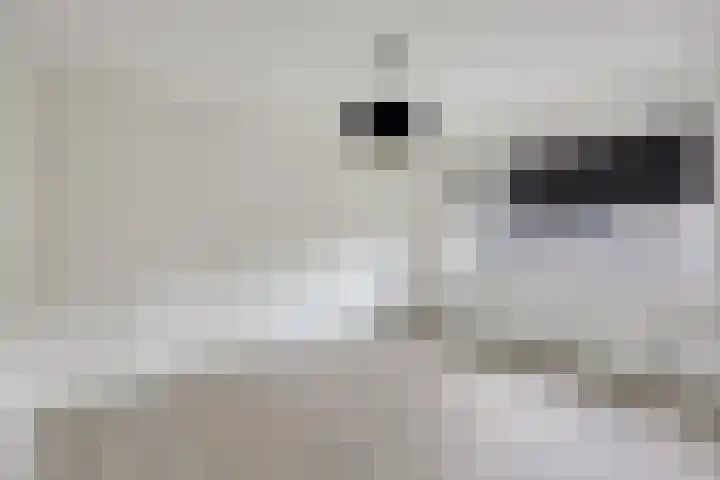 2e Lange Voren 14 Elst thumbnail 12