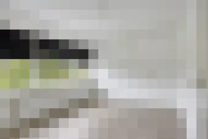 2e Lange Voren 14 Elst thumbnail 13