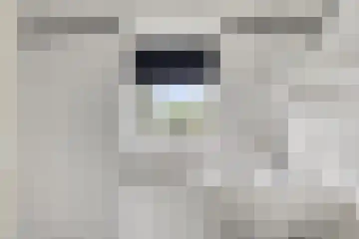 2e Lange Voren 14 Elst thumbnail 15