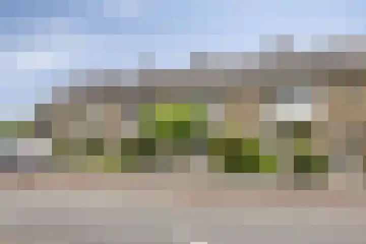 2e Lange Voren 14 Elst thumbnail 20