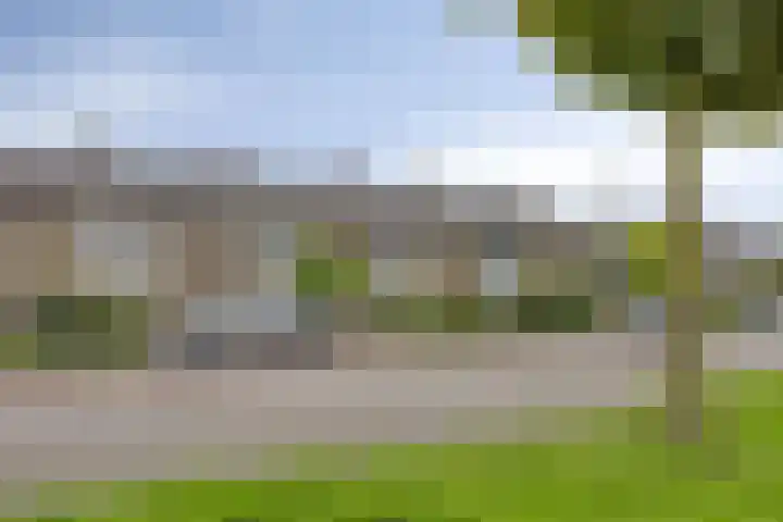 2e Lange Voren 14 Elst thumbnail 21