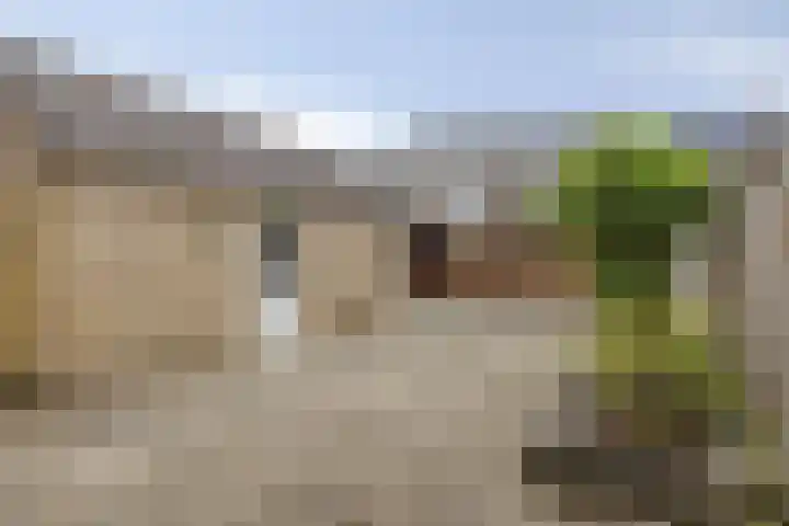 2e Lange Voren 14 Elst thumbnail 4